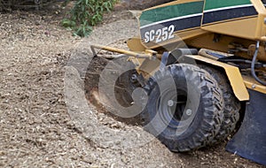 Tree Stump Grinding