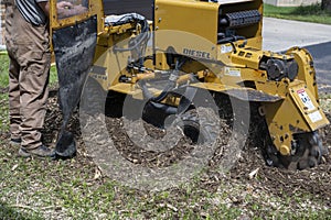 Tree Stump Grinding, Removal, Grinder