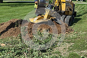 Tree Stump Grinding, Removal, Grinder