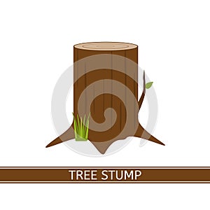 Tree Stump Icon photo