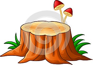 Tree stump and mushroom