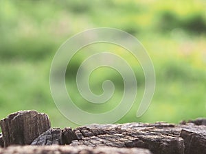 Tree stump for product display montages. Natural background. Texture background wallpaper. Natural wooden background
