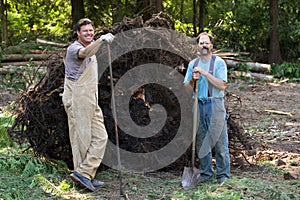 Tree Stump Removal