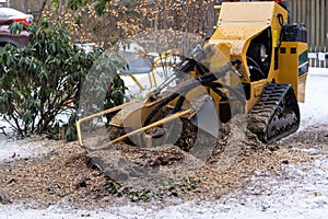 Tree stump removing process with yellow stump grinder