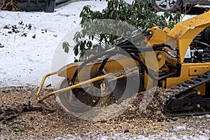 Tree stump removing process with yellow stump grinder