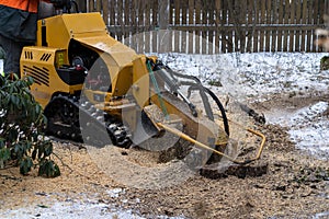 Tree stump removing process with yellow stump grinder