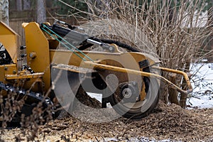 Tree stump removing process with yellow stump grinder