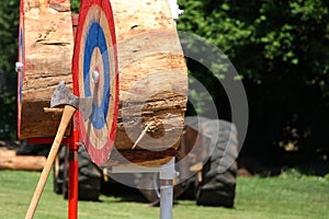 Tree Stump Target with Axe photo