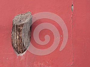 Tree stump on the wall photo