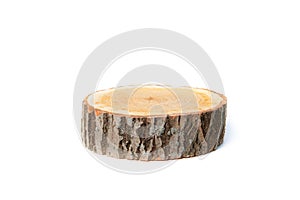 Tree stump on white background