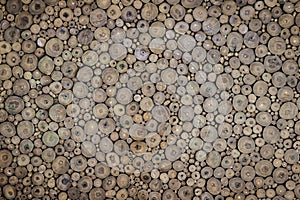 Tree stumps background