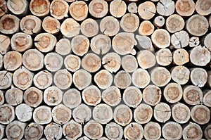 Tree stumps background