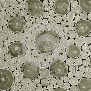 Tree stumps background or texture.