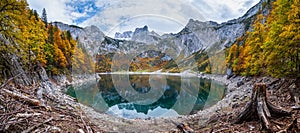 Tree stumps after deforestation near Hinterer Gosausee lake, Upper Austria. Autumn Alps mountain lake with clear transparent water