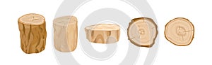 Tree stumps and logs vector illustrations set. Tree trunk parts top and side view. Felled forest, industrial wood