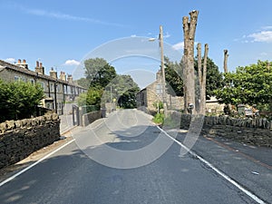 Tree stumps, and old stone cottages on, Cockin Lane, Bradford, Yorkshire, UK