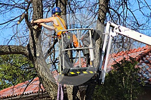 Tree surgeon with helmet and full equipment on cherry picker sawing limb off of a tree in front of tile roof and blue sky Tulsa Ok