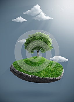 Tree on suspended rock