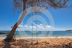 Tree swing on a tropical beach