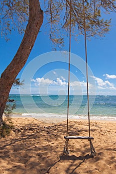 Tree swing on a tropical beach