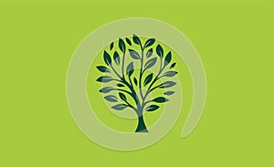 Tree symbol, icon design. Nature, trees illustration, logo concept. Luxury, modern and minimalistic style