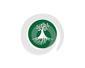 Tree symbol vector icon