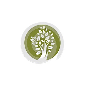 Tree symbol vector illustration