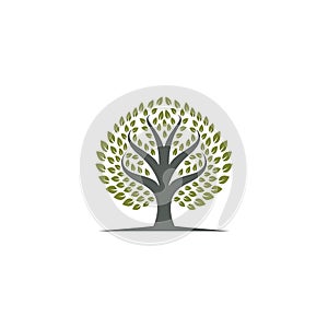 Tree symbol vector illustration