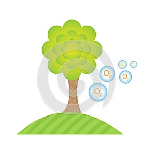 Tree synthesize oxygen. Humans breathe. Environment clean green.