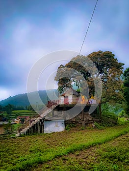 Tree temple stair hill mountain