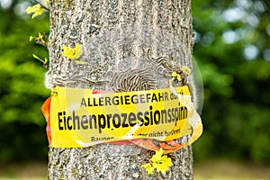 Tree with text vorsicht allergiegefahr durch eichenprozessionsspinner Raupen und Nester nicht berÃÂ¼hren, in englisch beware of photo