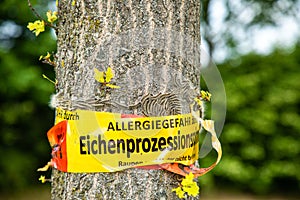 Tree with text vorsicht allergiegefahr durch eichenprozessionsspinner Raupen und Nester nicht berÃÂ¼hren, in englisch beware of photo