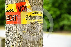 Tree with text vorsicht allergiegefahr durch eichenprozessionsspinner Raupen und Nester nicht berÃÂ¼hren, in englisch beware of photo