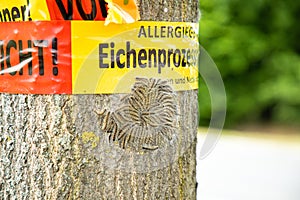 Tree with text vorsicht allergiegefahr durch eichenprozessionsspinner Raupen und Nester nicht berÃÂ¼hren, in englisch beware of photo