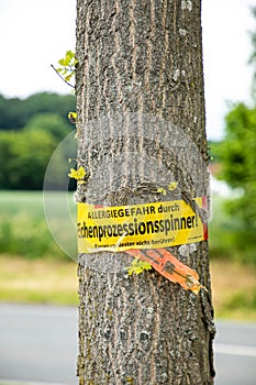 Tree with text vorsicht allergiegefahr durch eichenprozessionsspinner Raupen und Nester nicht berÃÂ¼hren, in englisch beware of photo