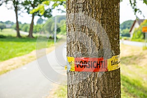 Tree with text vorsicht allergiegefahr durch eichenprozessionsspinner Raupen und Nester nicht berÃ¼hren, in englisch beware of