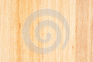 Tree texture. Timber light natural pattern. Wood grain background