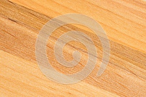 Tree texture. Timber light natural pattern. Wood grain background