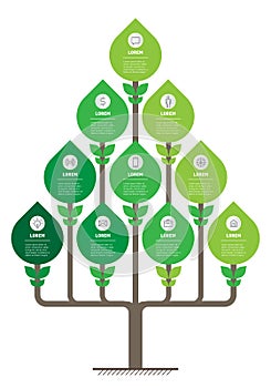 Tree or Timeline of trends. Business concept with ten steps. Infographics with 10 options research in science and Green technology