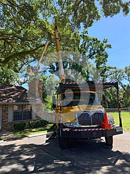 Tree timmer in a bucket truck