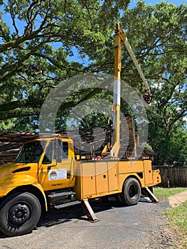 Tree timmer in a bucket truck