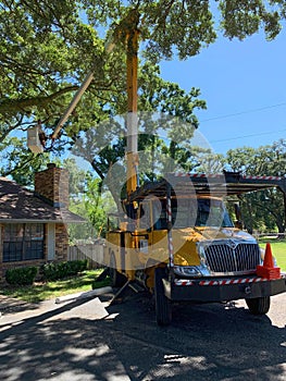 Tree timmer in a bucket truck