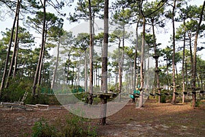 Tree top adventure park climbing course