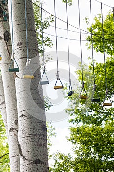 Tree top adventure park