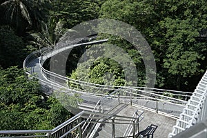 Tree top forest walk ,Southern Ridges trail in Singapore