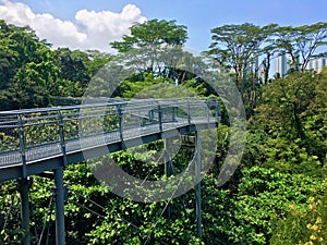 Tree top walk Southern Ridges trail in Singapore