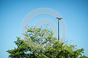 Tree Top With Green Leaves And Black Metal Light Pole