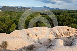 Tree top with mountain background