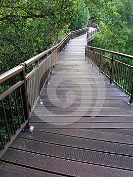 Tree top nature walk