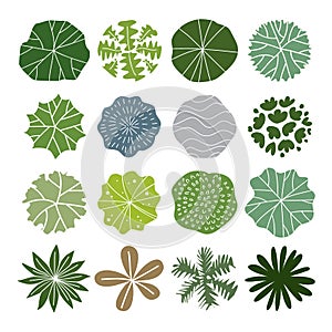 Tree top, tree plan - free hand drawn doodle vector illustration